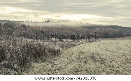 Frosty morning at the far north Russian fields. Cloudy skies over the frozen weeds and forrest.