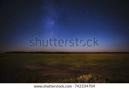 over the forest you can see the blue starry sky on a summer night Royalty-Free Stock Photo #742334704