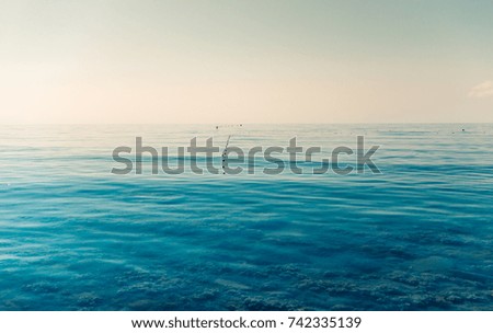placed in a sea of net for catching fish. marine, minimalistic landscape