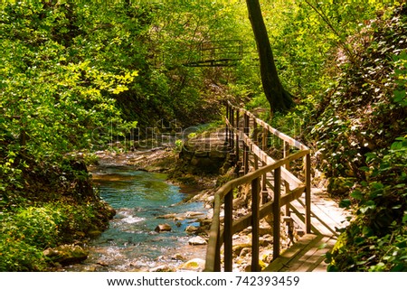 Wooden path and creek in the park Berendeyevo Tsarstvo in sunny summer day, Sochi, Russia
