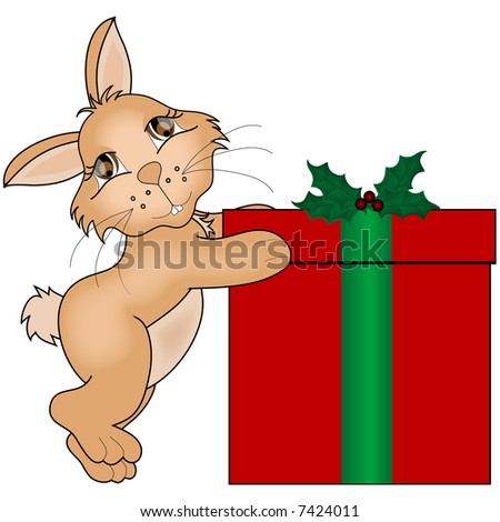 Bunny with christmas Gift.