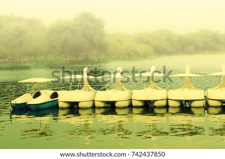 pedal boat in pond with morning day foggy in the garden, blurred picture