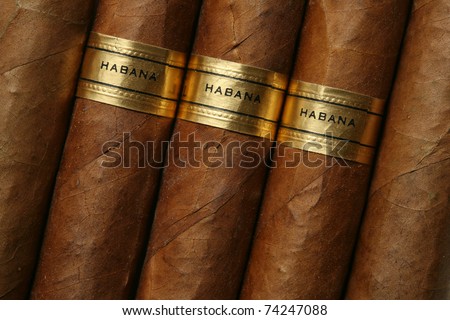 Havana cigars texture
