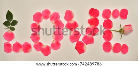 Inscription love from rose petals is pink. Creative and fashionable concept. Flowers and flora. Flat lay, top view. Valentine's Day