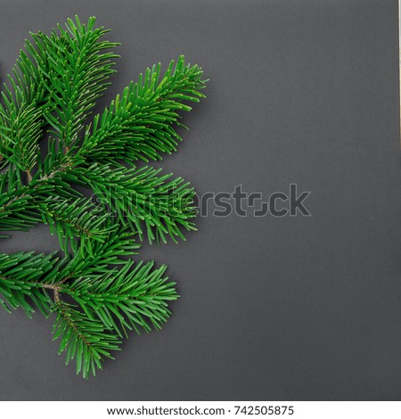 Christmas tree branch on dark paper background