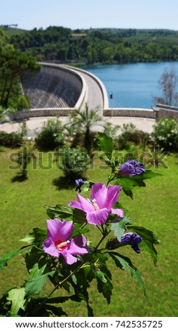 Photo of beautiful flowers from famous dam and lake Marathon, Attica, Greece                      