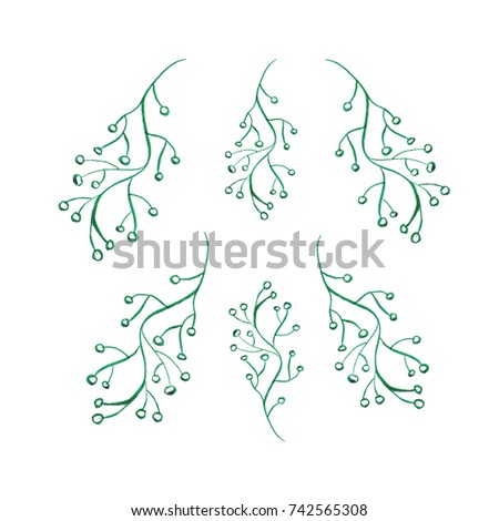 Watercolor floral objects set. Winter branches isolated on white background. Hand drawn plants clip art.