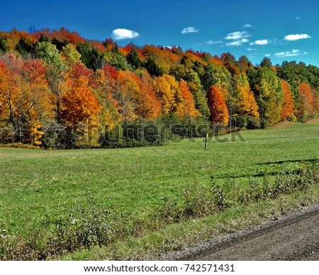 Pastureland beside a rural dirt road near Sutton, Quebec, Canada