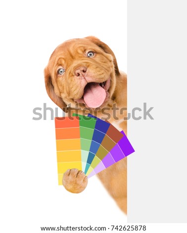 Funny puppy with color samples behind white banner. isolated on white background