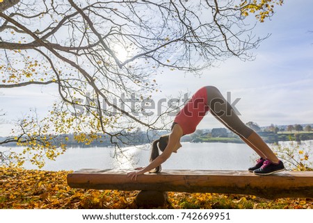 Yoga pose in the park in sunny autumn day. Sport. Adho Mukha Svanasana. Down Dog.