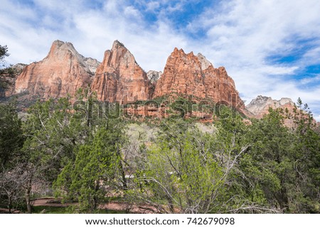 Colors and adventure at Zion National Park, Canyon Junction, Utah, USA 