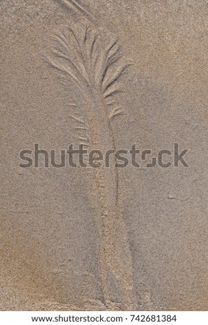 Pattern in beach sand as a result of the receding tide