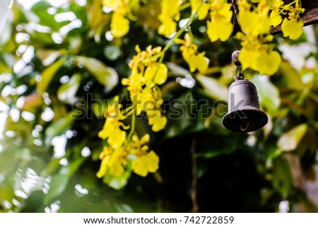 Wind bell and yellow orchids as background.