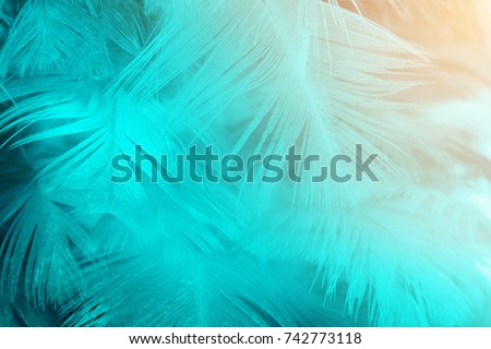 Green turquoise and blue color trends feather texture background,Light orange