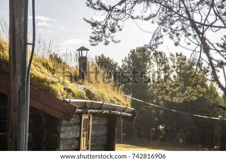A beautiful wooden house in the forest with a grass and moss growing on a roof. Natural roof, traditional building in Norway. Beautiful autumn scenery.