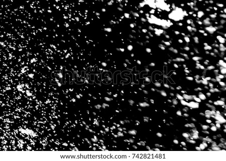 Falling snowflakes isolated on black background - Design element. Christmas snow.