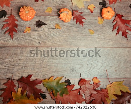 Autumn arrangement of colorful leaves, pumpkin, acorn, chestnut fruit on a wooden background with free space for text. Top view, season concept, toned retro effect, flat lay