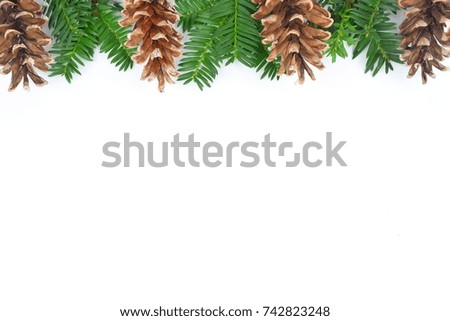christmas concept,green fir with brown pinecone on white background