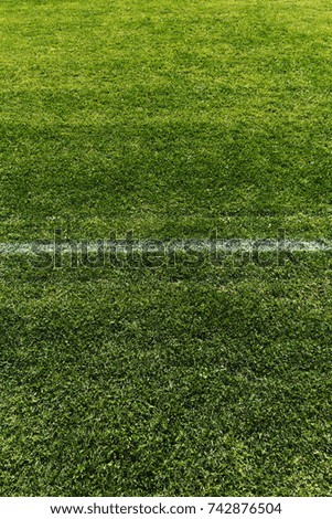 Detail of a soccer field with white line