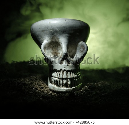Scary skull on toned light dark background. Design for Halloween background or horror theme
