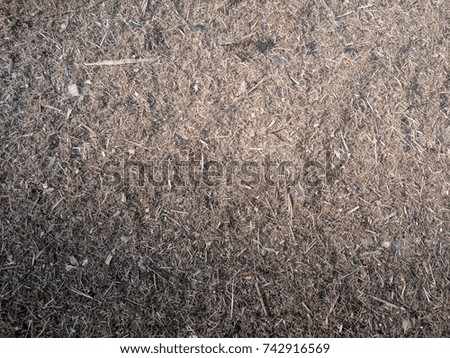wood fine dust on the floor as background picture