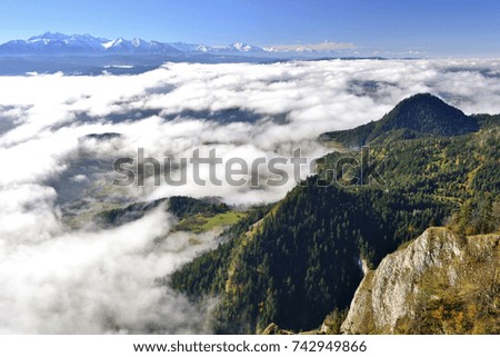 Pieniny mountains in the sea of fog in the morning with Three Crowns peak
