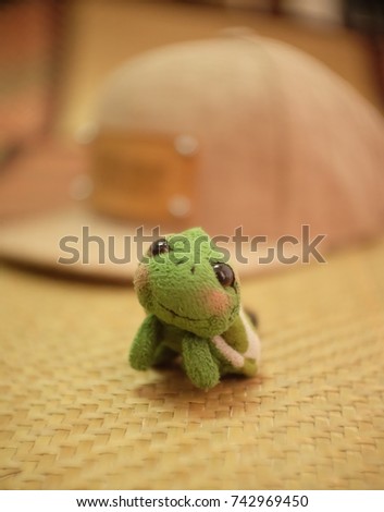 Turtle doll with background