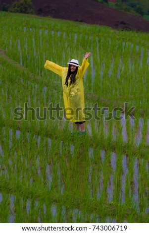 Women wearing yellow raincoats in Rice field thailand