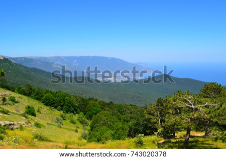 Mountain landscape with a pine forest and a blue sky