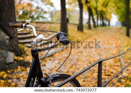 Old vintage classic bicycle in a park covered by fallen leaves