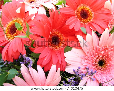 Vibrant and colorful background of flowers