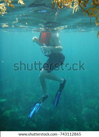 Underwater view of a man snorkeling in the Florida Keys with black swim trunks, blue flippers, and an orange life vest