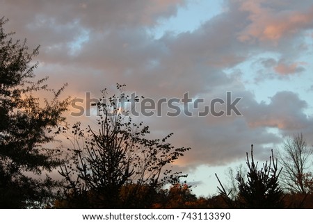 clouds at sunset with trees in silhouette