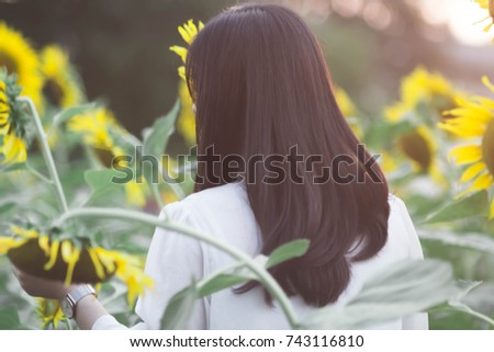 field standing sunflower woman,Beautiful young woman standing in the middle of a lavender field at in the golden light of the sunset praising the beauty of life.