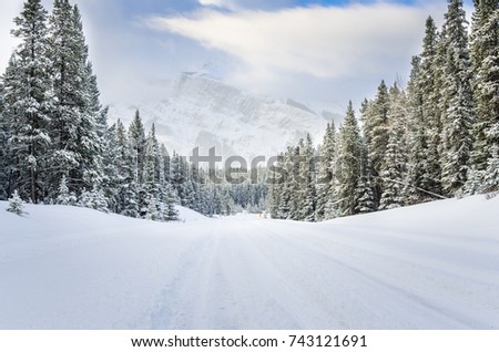 Snowy Road through a Forested Mountain Landscape in Winter Royalty-Free Stock Photo #743121691