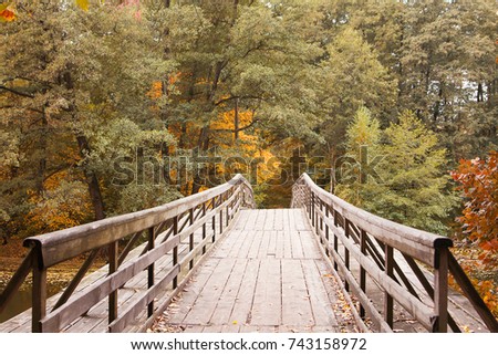 Beautiful nature and landscape photo of autumn day at the lake, Nice wooden bridge over water, Colorful trees and forest, Calm, peaceful, joyful, and happy image
