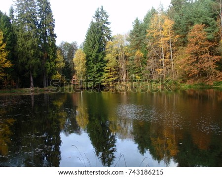 Autumn trees on the shore of a pond