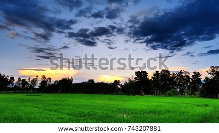 Rural sky