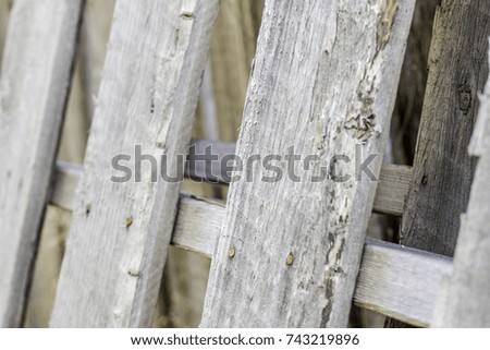 Close up shot of old wood and rusty nails