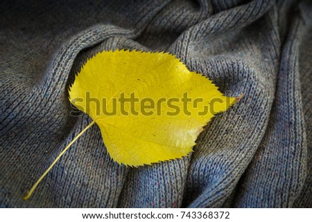 background of knitted gray linen of goat's wool made with knitting needles or on a knitting machine laid in big waves with  yellow aspen leaf