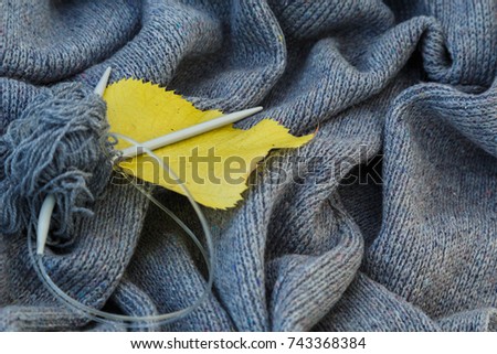 background of knitted gray linen of goat's wool made with knitting needles or on a knitting machine laid in waves with metal knitting needles, yellow aspen leaf and red chrysanthemum flower.