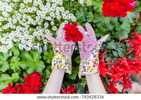 A woman's hand digs soil and soil.  Close-up, Concept of gardening, gardening. Ground level view of woman planting flowers in sunlight. Gardening tools in the garden. Woman florist working
