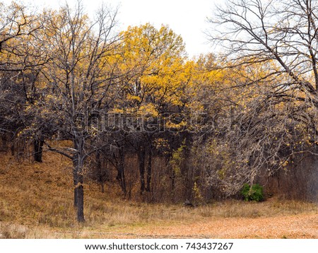 Beautiful autumn landscape. Nature of Russia.