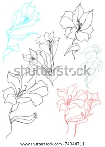 VECTOR Set of images of flowers