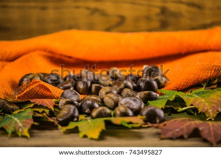 autumn leaf and   chestnuts on  wooden table