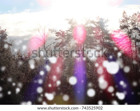 christmas winter forest landscape on a frosty day with snow and sunny light beams