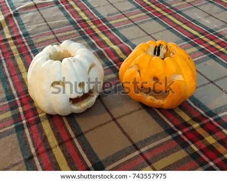 Little pumpkins in Halloween festival 