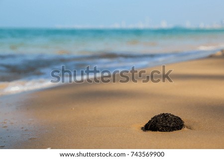 Nature beautiful Sand beach background.