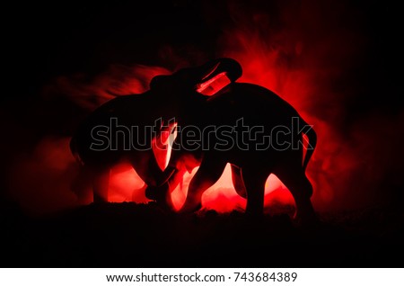 Battle of Elephants. Elephant fighing silhouettes on fire background or Two elephant bulls interact and communicate while play fighting. Elephants touching each other gently