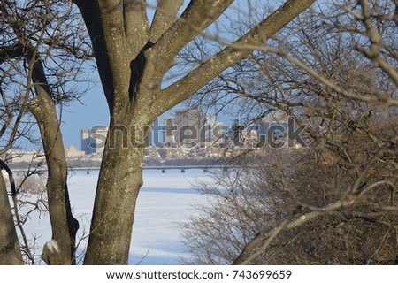 Forest trees close up detailed photography with a natural pattern design with a city skyline landscape winter weather break season time over a frozen river